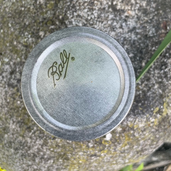 Ball Mason Craft Jar - Picture 11 of 11